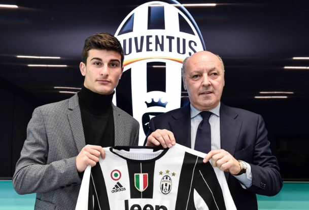 不仅展现了 不仅展现了