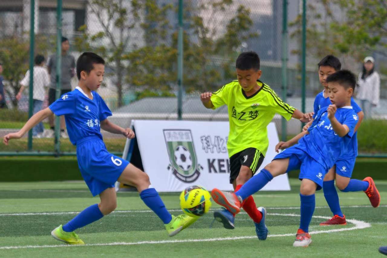 能显著提升 能显著提升