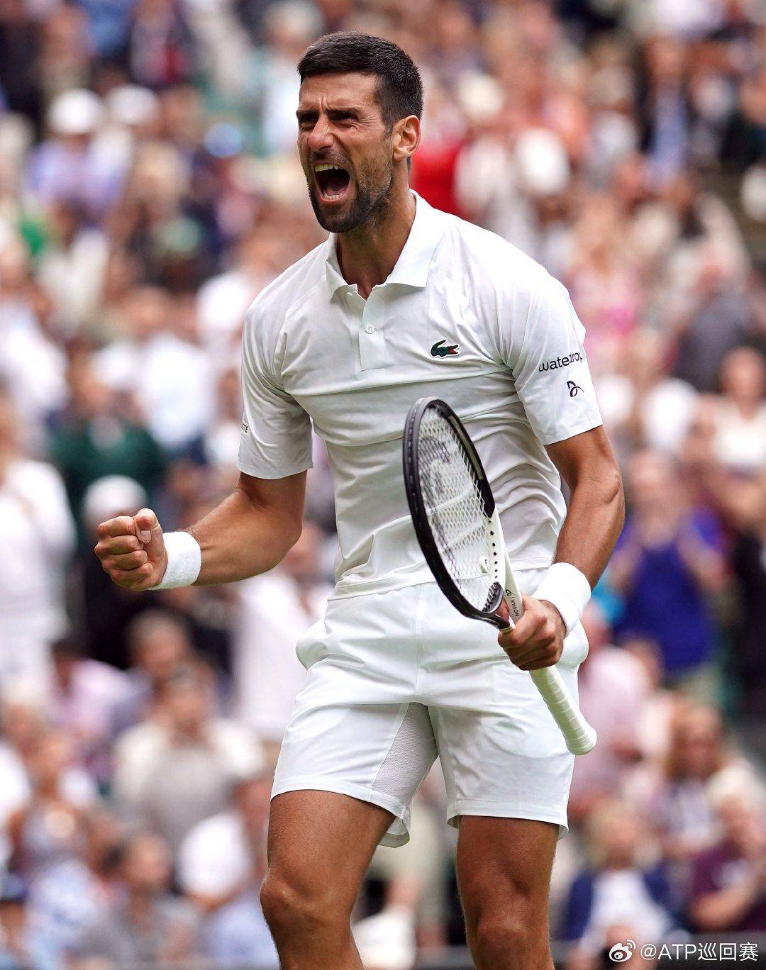 们成长历程 们成长历程