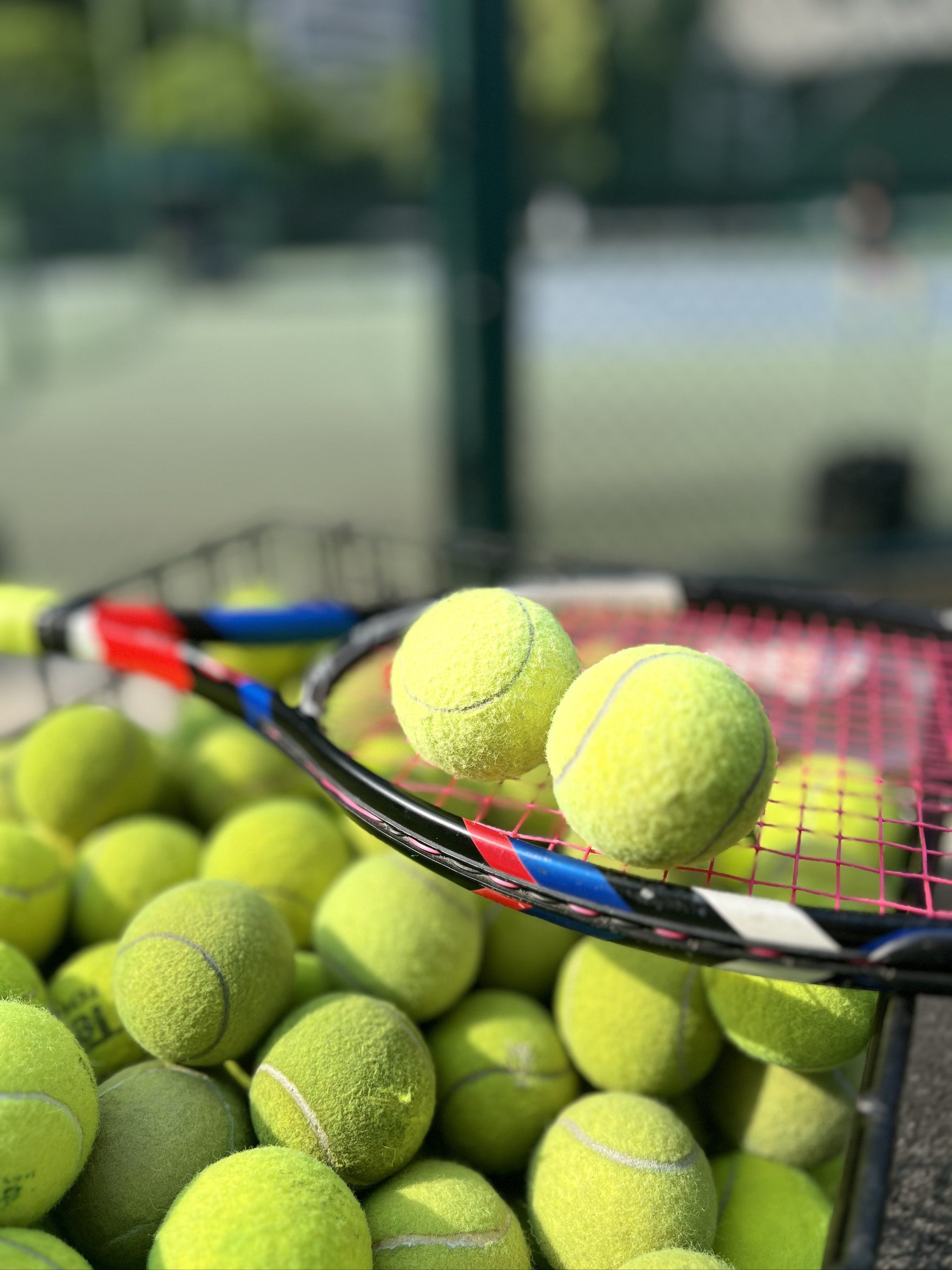 水平的竞技 水平的竞技