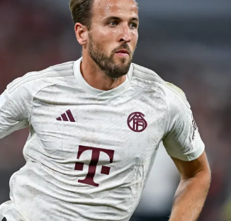 以微弱优势 以微弱优势