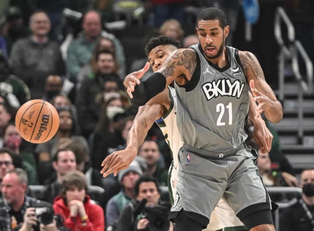 东契奇同属 东契奇同属